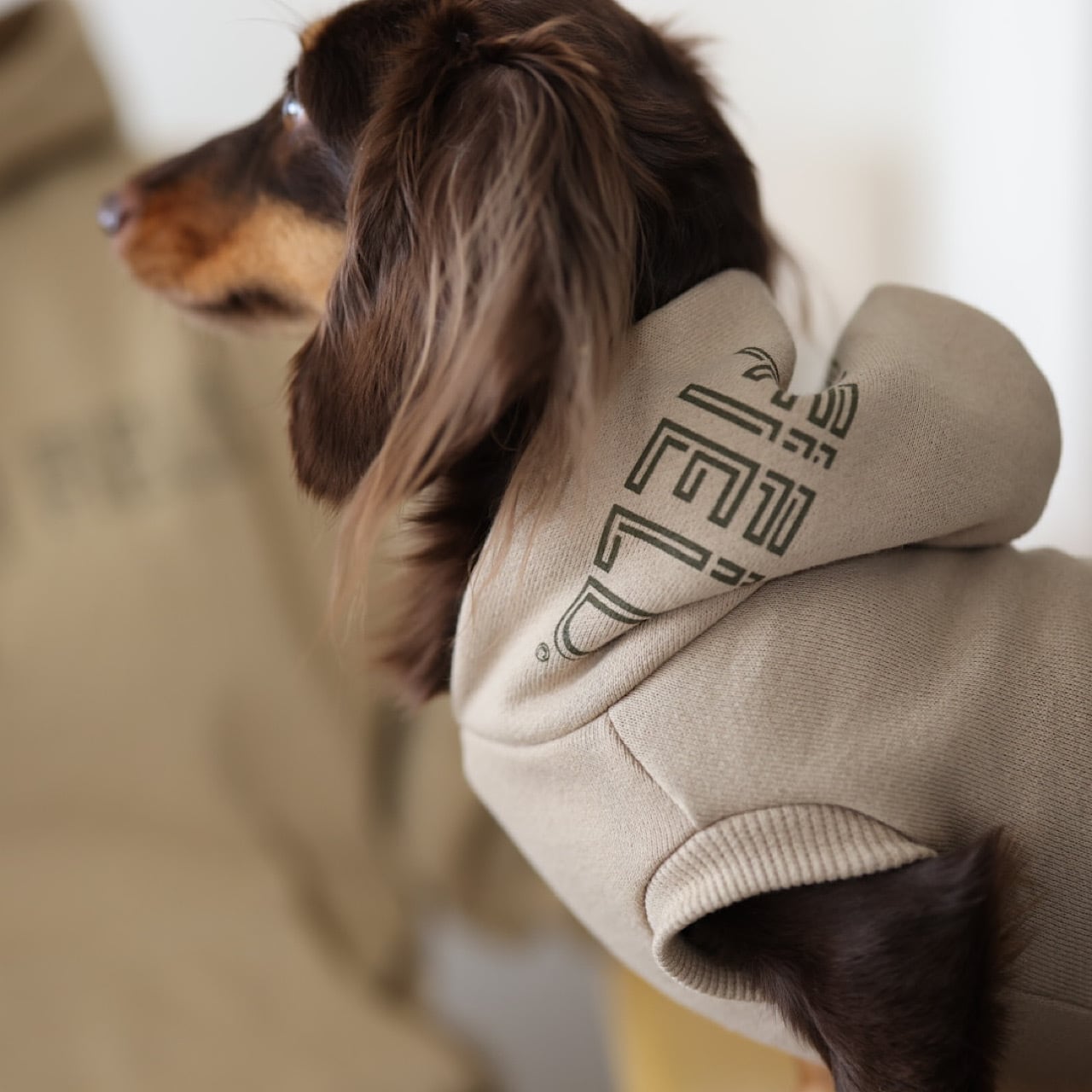 フジアースフィールド スタッフパーカー | カニンヘンダックスと