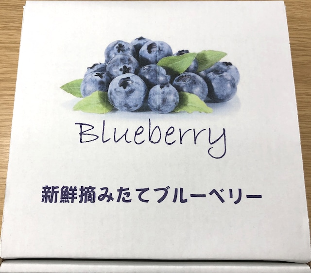 5月発送分予約販売☆【ぷちっとジューシー！】生果実ブルーベリー 400g