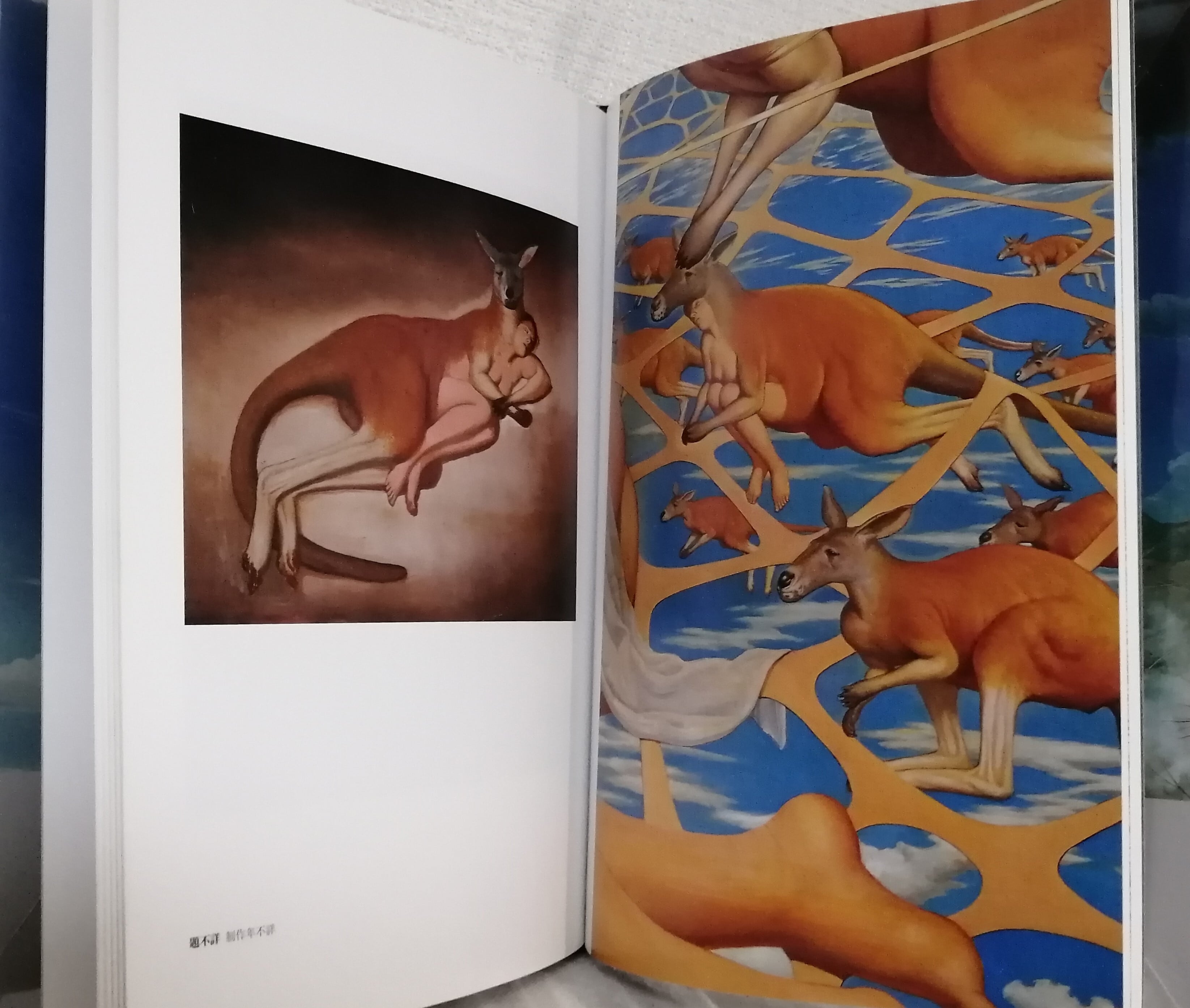 藤野一友 中川彩子 作品集 「 天使の緊縛 」初版 検索：画集 三島