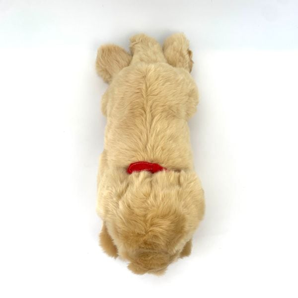 ぬいぐるみ S ゴールデンレトリバー 犬 動物 | PAY ID