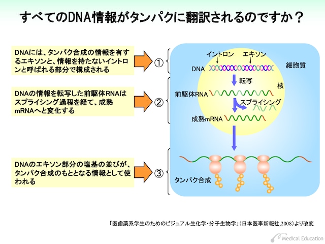 がん遺伝子検査入門