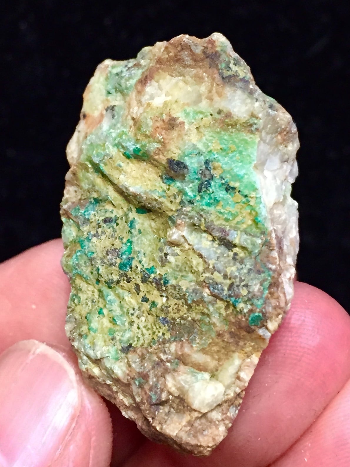 レムリアの太陽