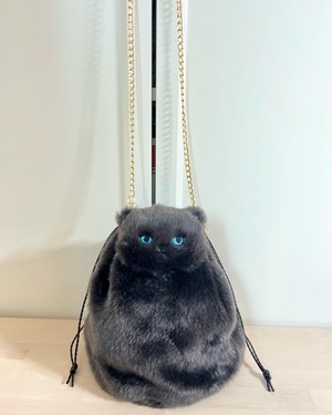 cat bag grey long hair blue eyes