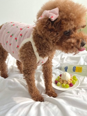 予約【pecoramou select】April crop tee