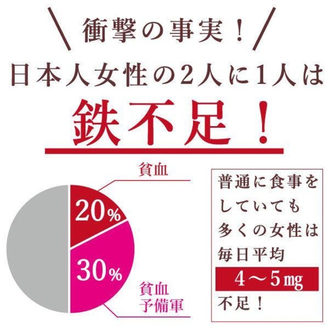 アイアンパン 北海道あんぱん|鉄分配合サプリパン|食べる鉄分習慣 しっとりもちもち