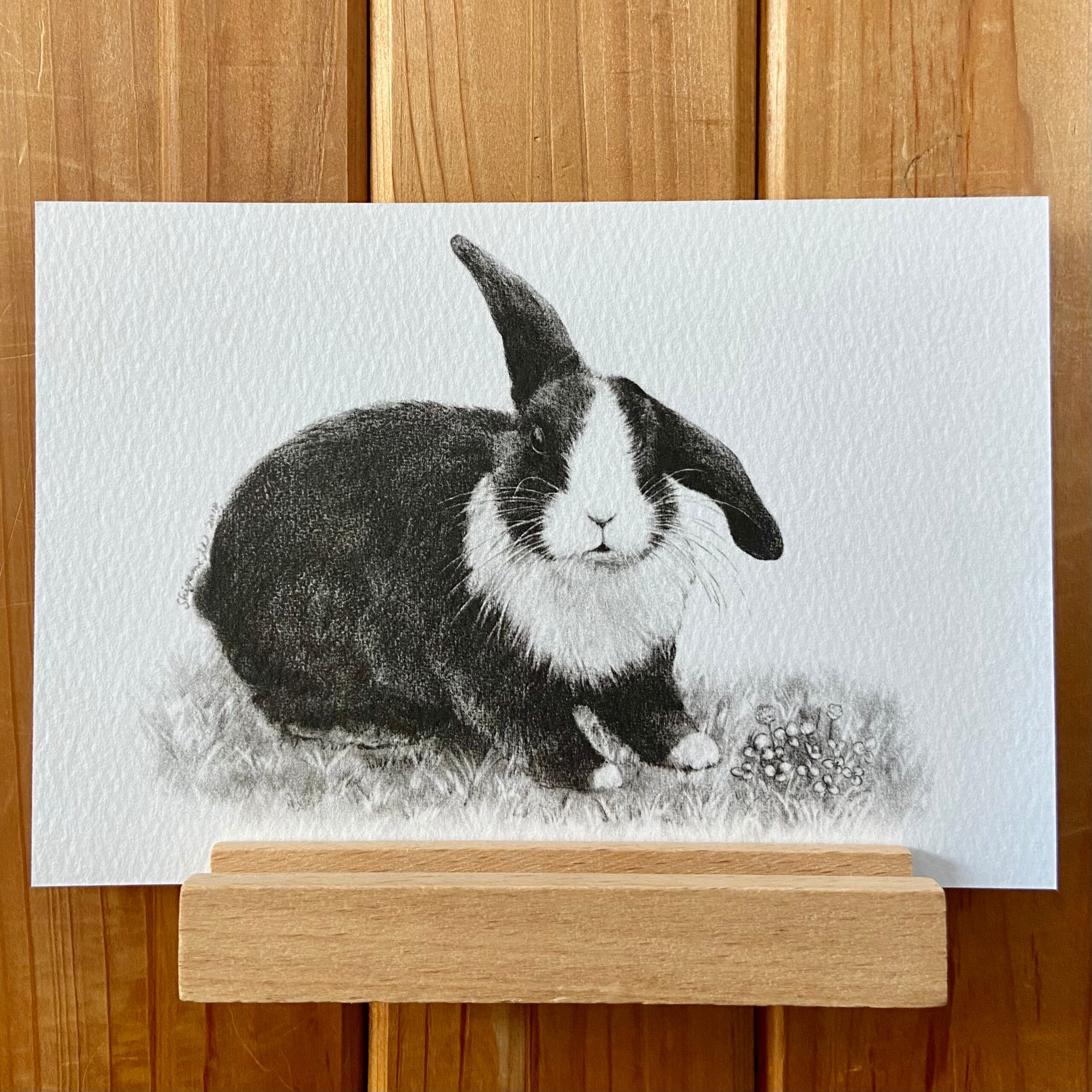 森のうさぎのポストカードセット | アトリエHanaconeco