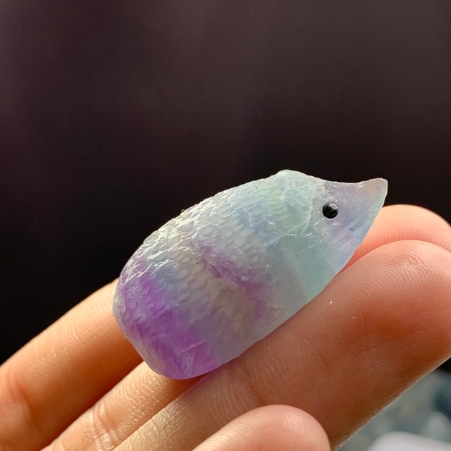 71大家族☆フローライトハリネズミさん