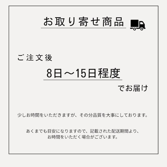 chain necklace (N16)