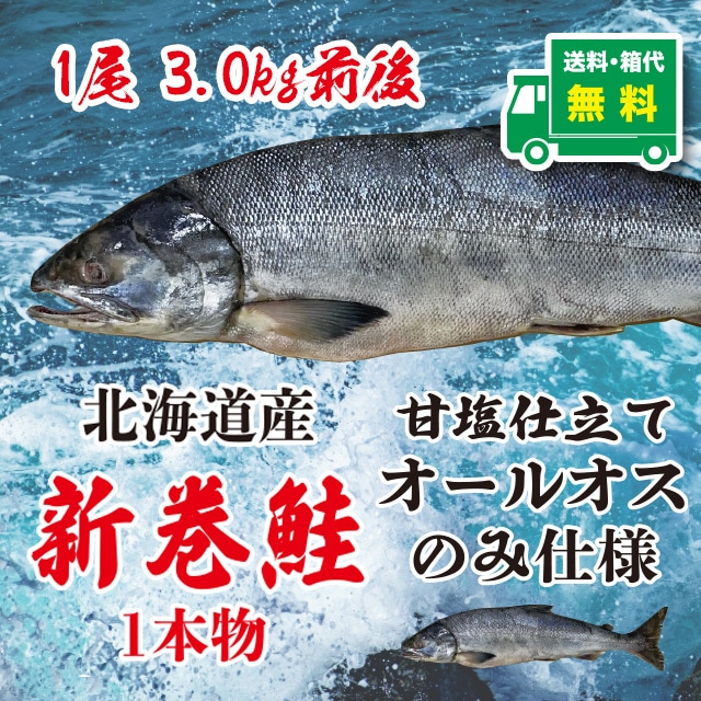 北海道産 新巻鮭　甘塩仕立て　1尾3.0kg前後 【送料・箱代無料】