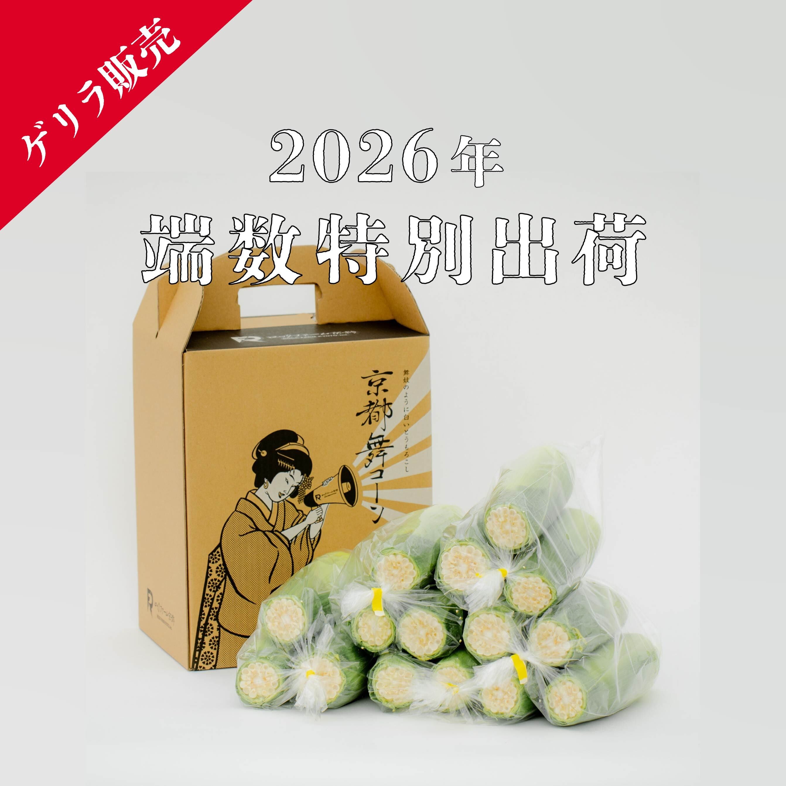 【当日出荷限定】《ご家庭用》しこみちゃん 端数分の特別出荷枠