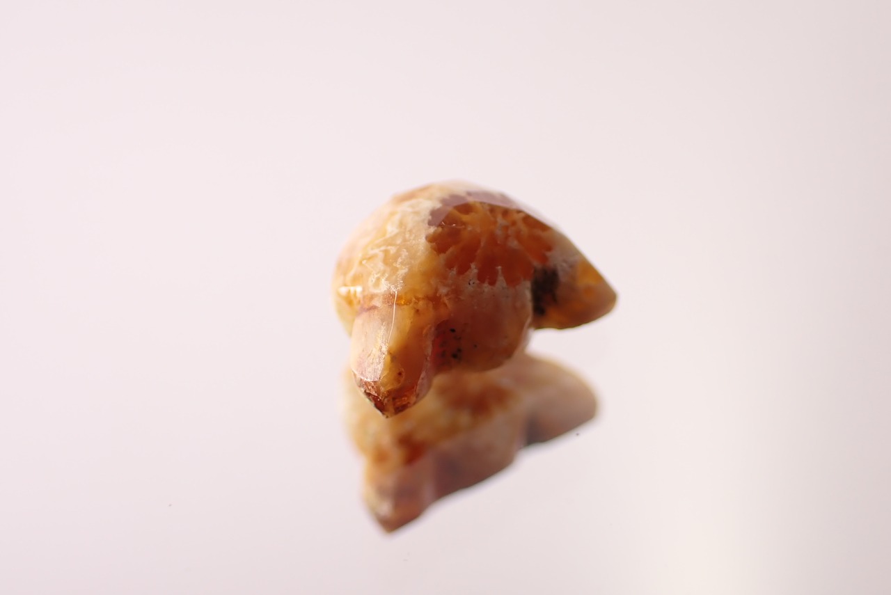 フォッシルコーラル(猫カット)　1.36ct　[D11‐352]