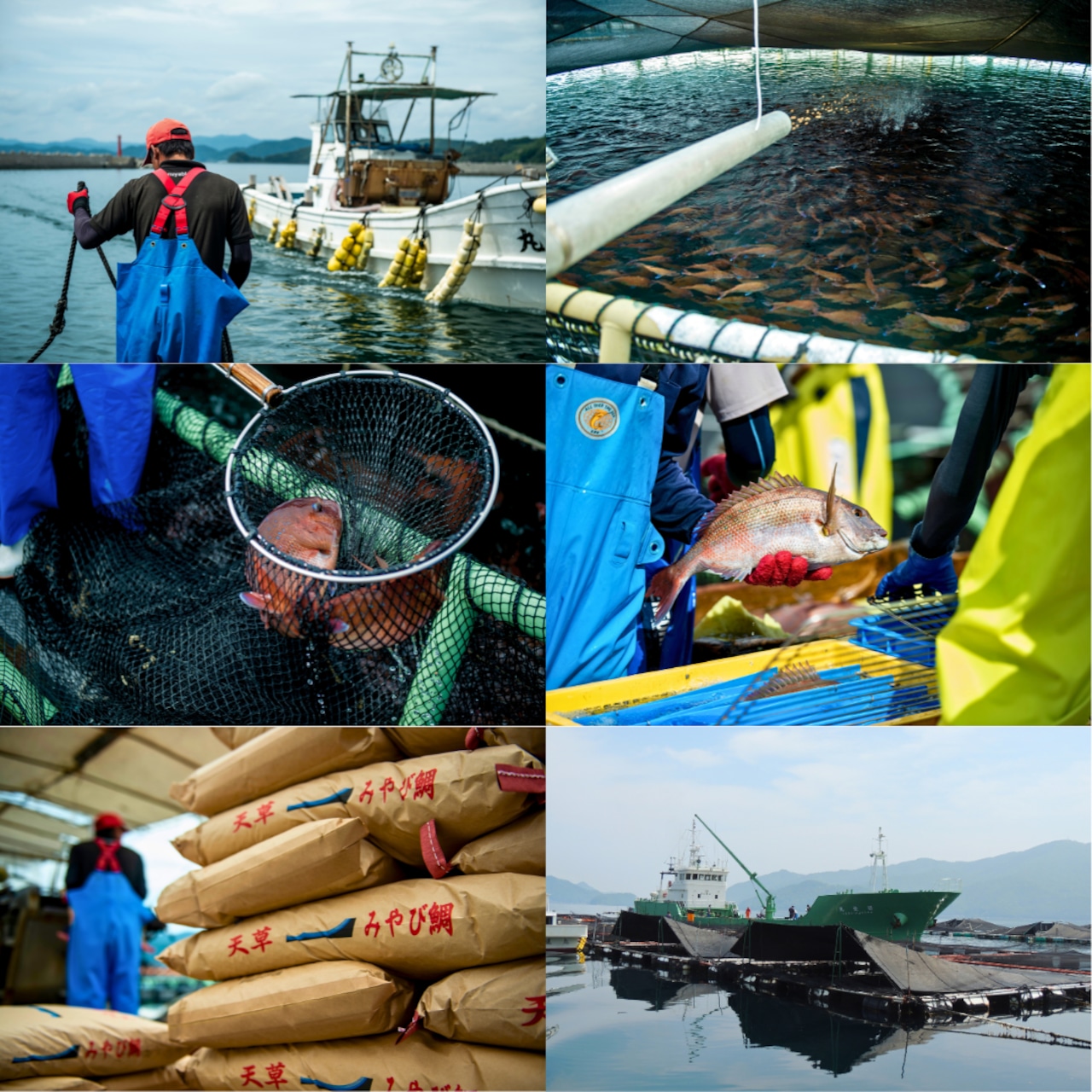 みやび鯛【鯛めしの素 5P】