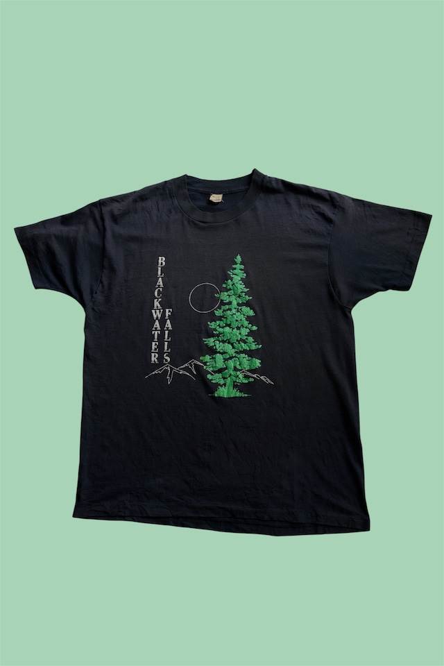 1980s〜early 1990s /USA製 /SCREEN STARS BEST “BLACKWATER FALLS” シングルステッチTシャツ
