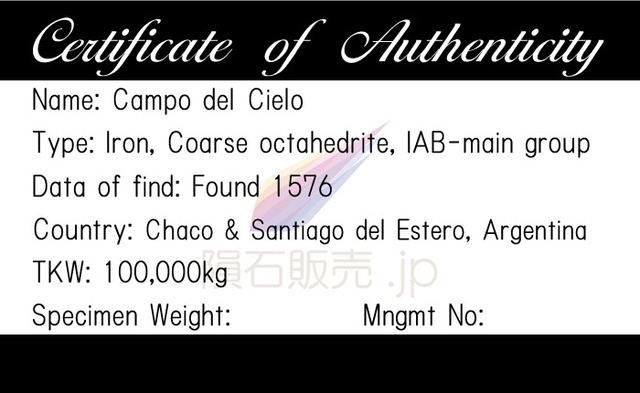 カンポデルシエロ 隕石 58.6g オクタへドライト 鉄隕石 標本 M2613