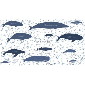 KUJIRA-ショルダーサーモステンレスボトル(ホワイト)(500ml)