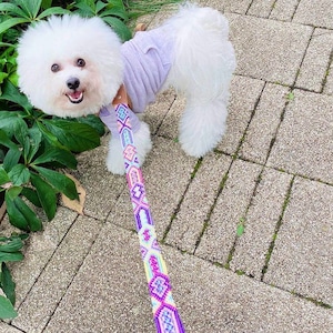 MEXICAN WOVEN LEASH