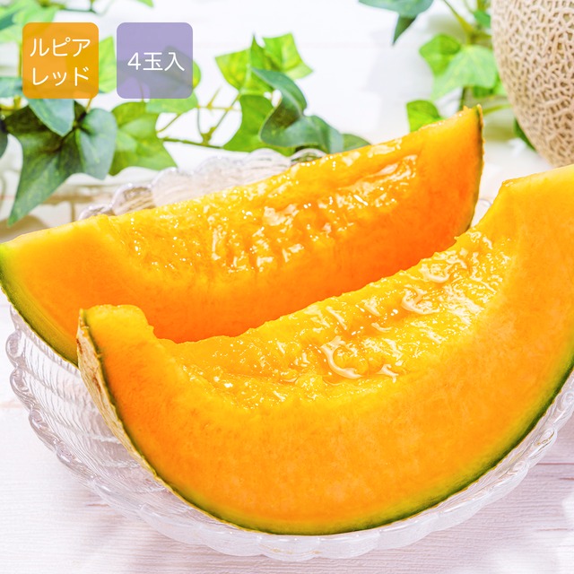 数量限定　最高級富良野メロン　ルピアレッド　秀品　特大玉(2.0~2.5キロ)4玉入(8キロ入)