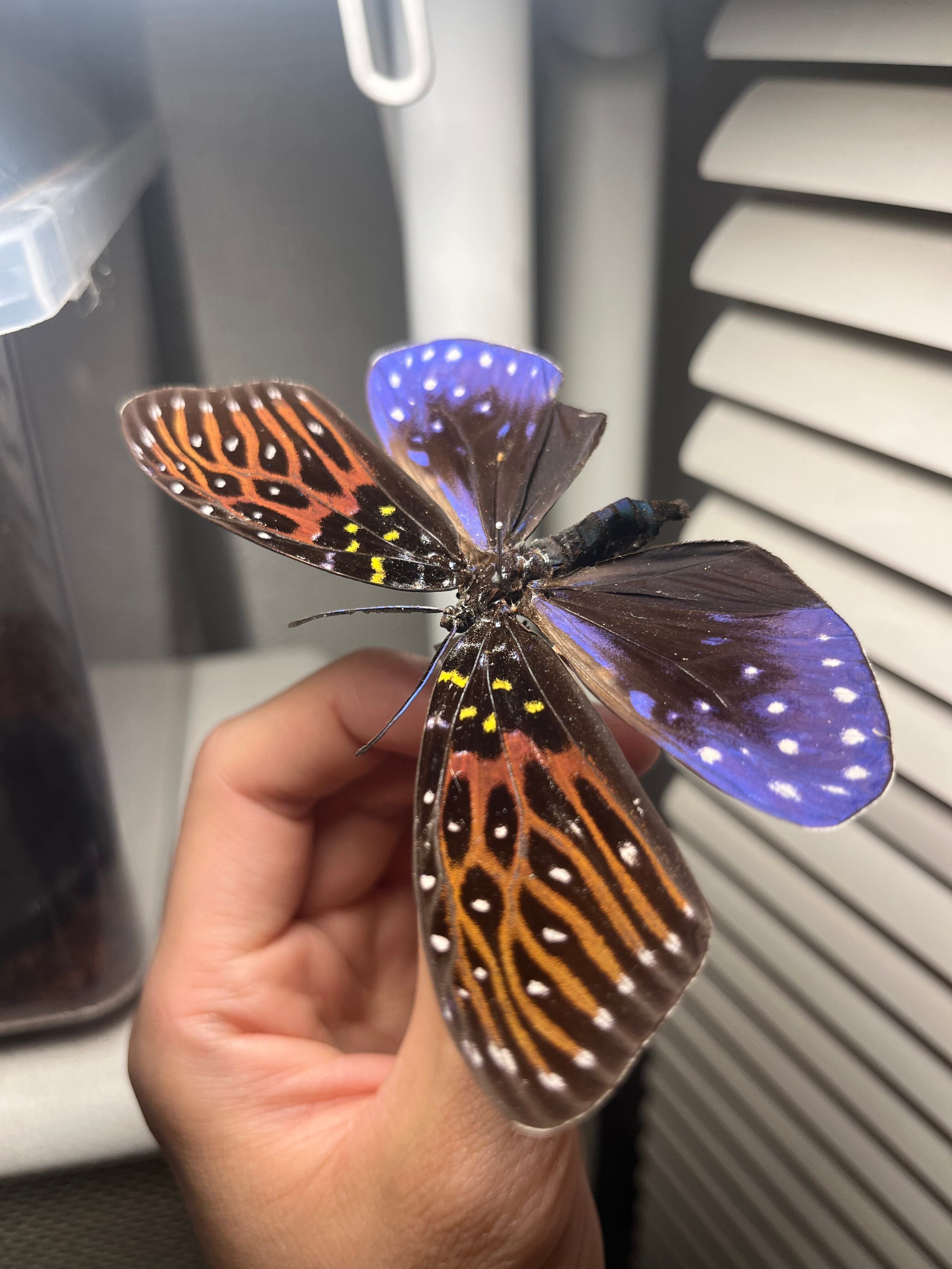 80ff51935f39394e91b359155483f0