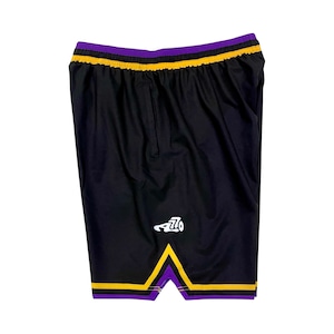 Zip Shorts / purple gold