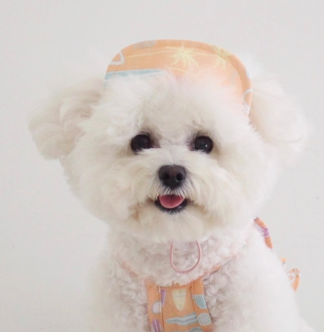 【THEREST OF LIFE】VACANCES CAP(mandarin)