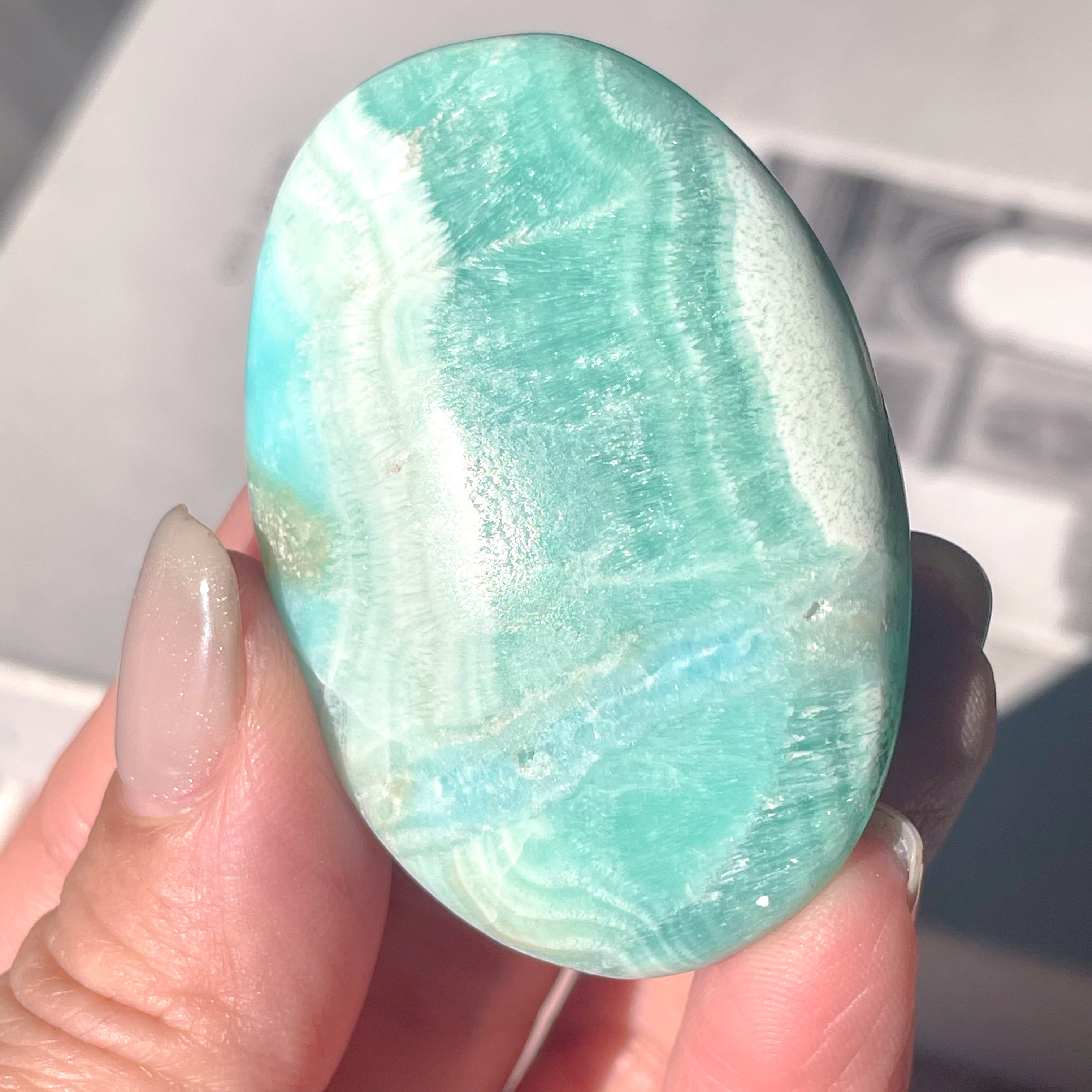 Top Quality Blue Aragonite Palm ✧ ブルーアラゴナイト