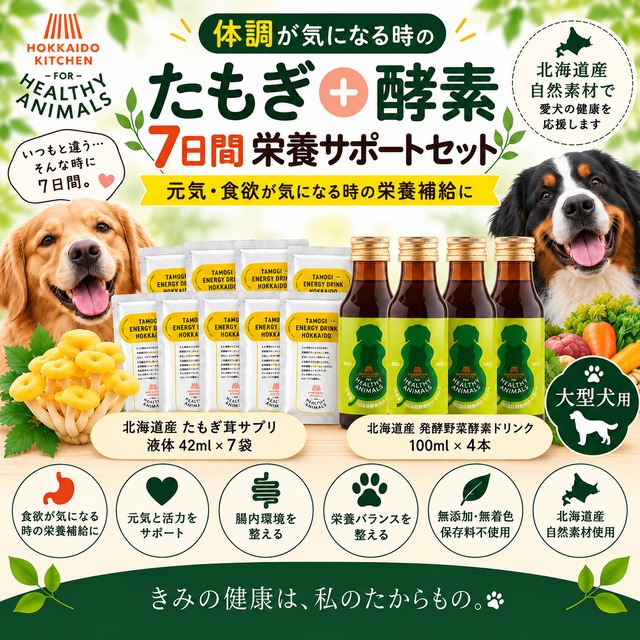 【大型犬用】体調が気になる時の7日間 栄養サポートセット｜たもぎ茸＋発酵野菜酵素｜元気・食欲が気になる子に｜ヘルシーアニマルズ
