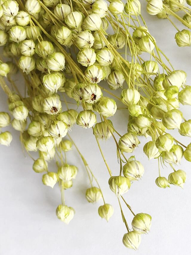 シェア花材 リンフラワー アップルグリーン 2g Kazaineko