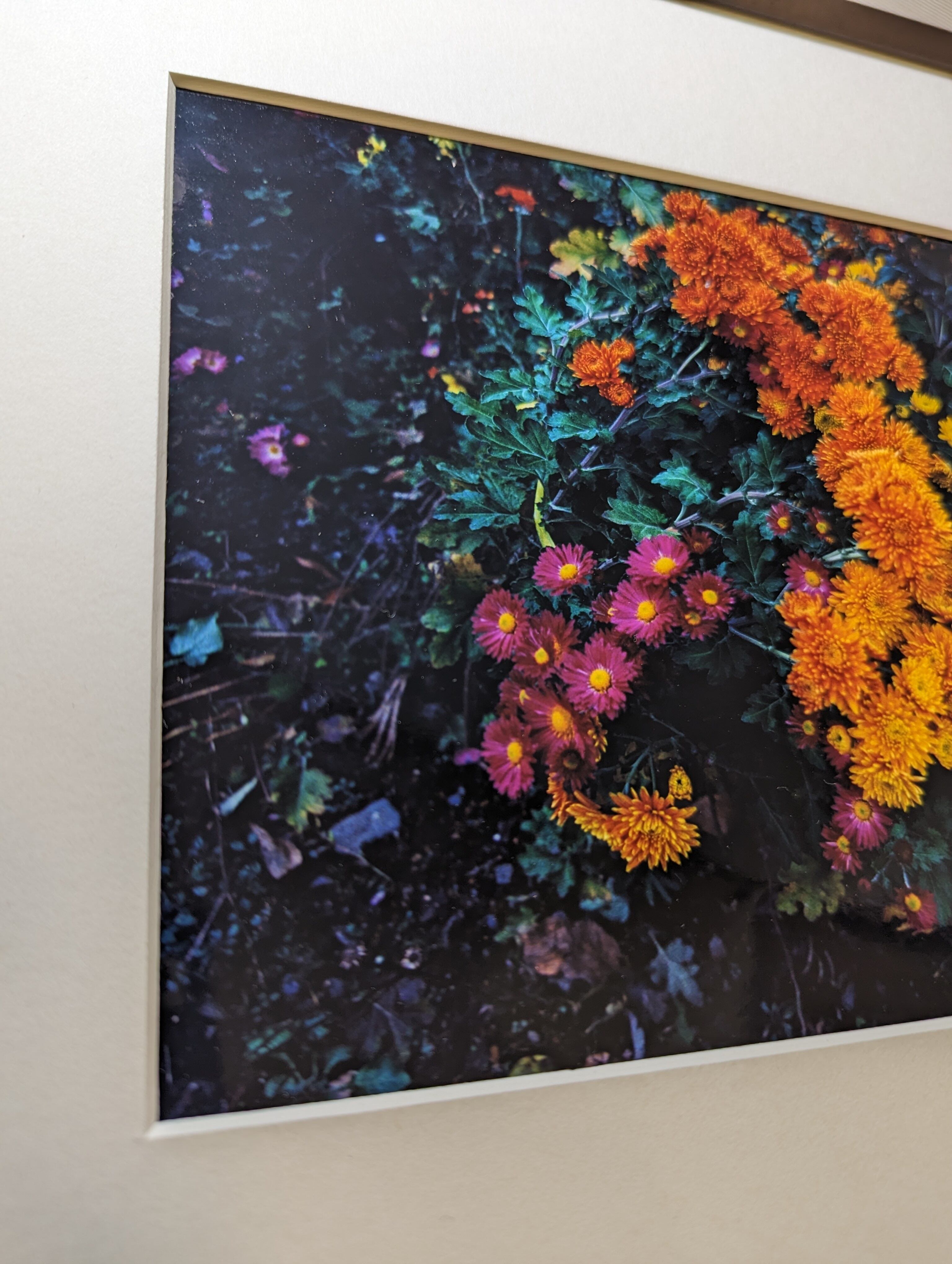 木製額縁+マット紙の押さえ】夕暮れ時に鮮やかな庭の花々 | アート作品