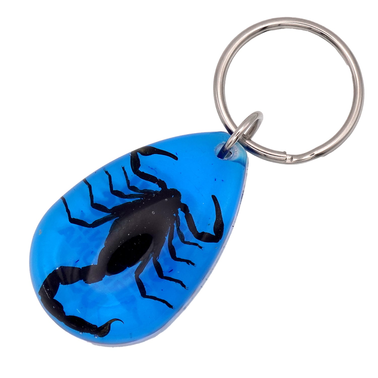 USA ARIZONA SCORPION DROP KEYCHAIN 蠍 サソリ スコーピオン お守り