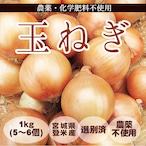 玉ねぎ 1kg