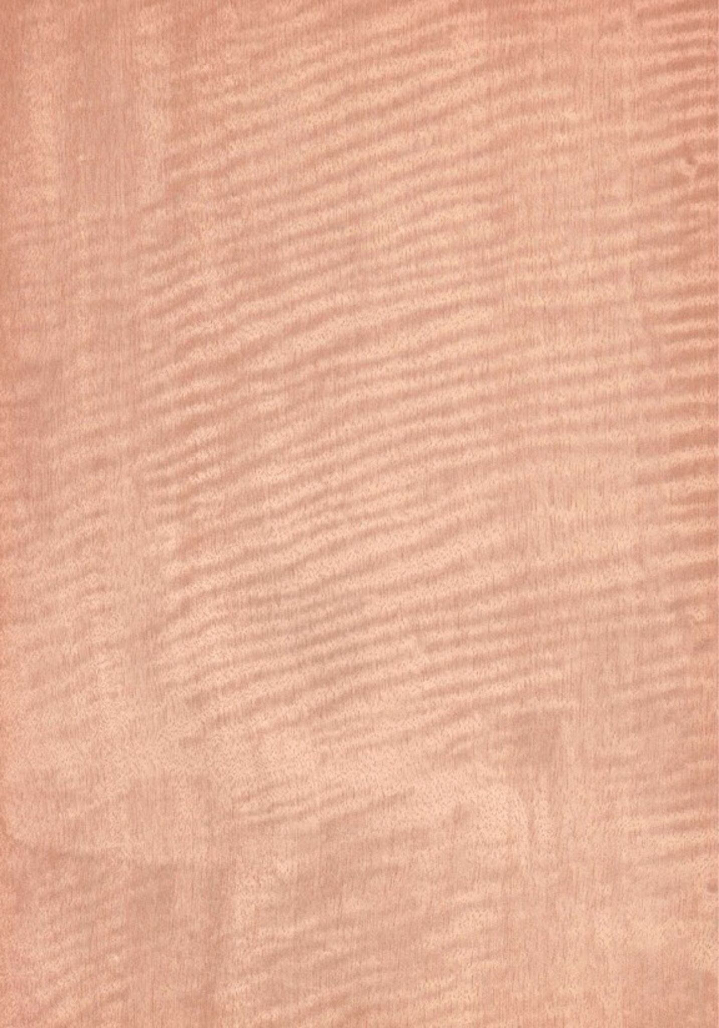 天然木ツキ板シート サテンシカモア 薄色系 900mm×1800mm | poke