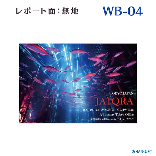 QSLカード　デザイナーズカード　WB04　レポート面無地　100枚～