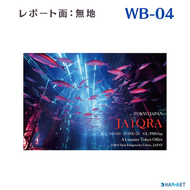 QSLカード　デザイナーズカード　WB04　レポート面無地　100枚～