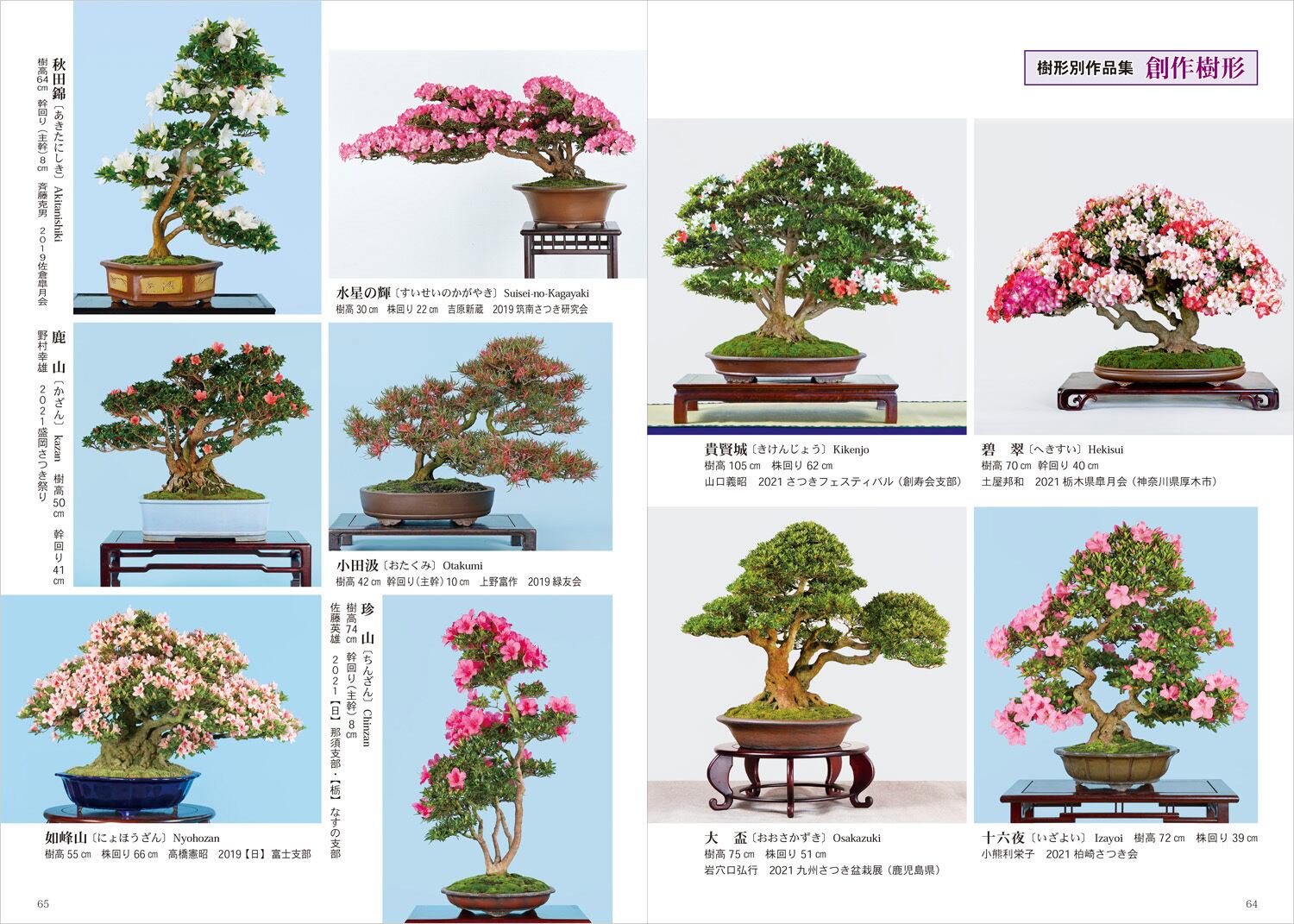 令和版 皐月盆栽の作り方 栃の葉書房