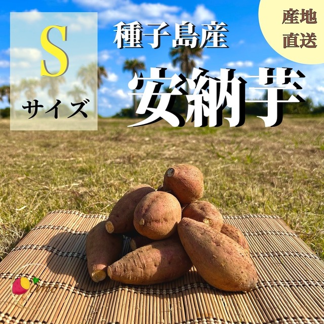 安納芋 Sサイズ 2kg｜箱別 画像