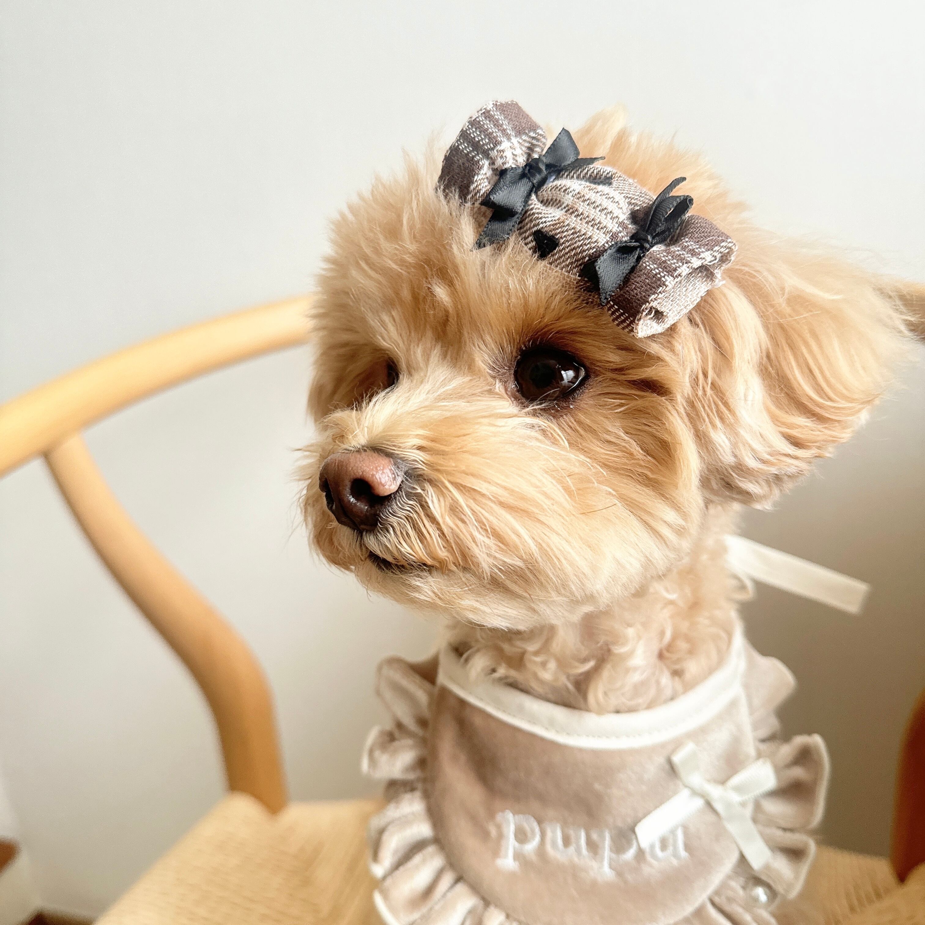 キャンディパッチン