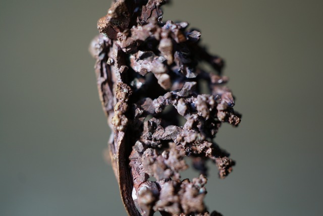 カザフスタン産自然銅  Native Copper　1029