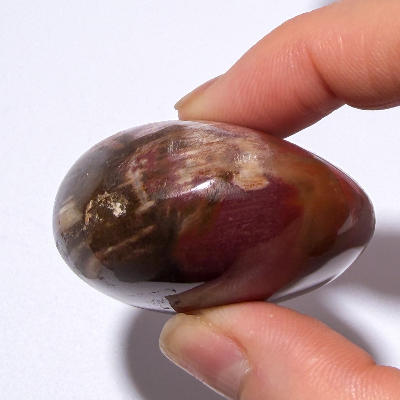 ペトリファイドウッド02 パーム ＊ Petrified Wood ＊ 天然石