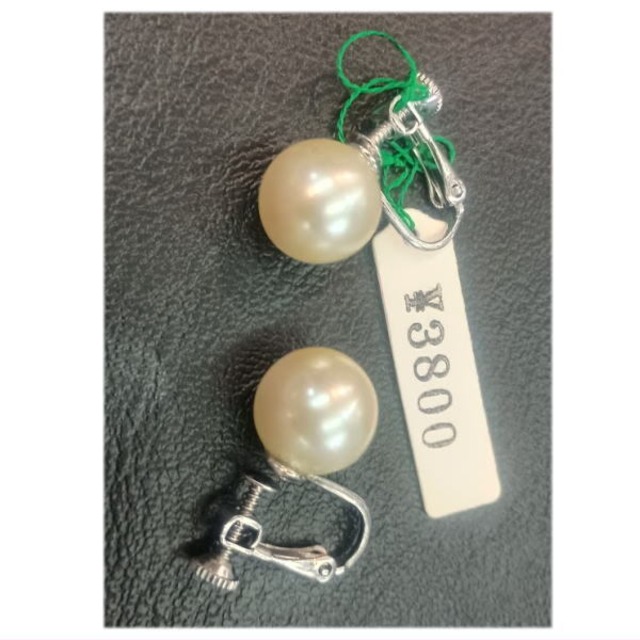 pa-16	人工パール（10000円）