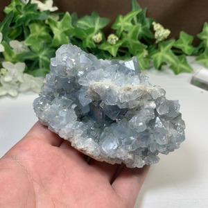 5.空色セレスタイトに住み着いているフローライトハリネズミさん