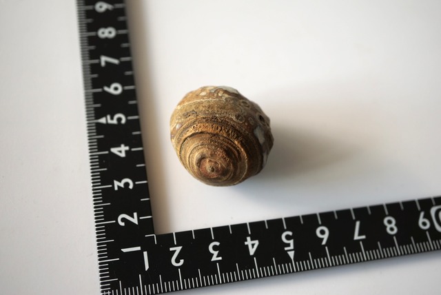 ゴビアゲート Gobi Agate 1099