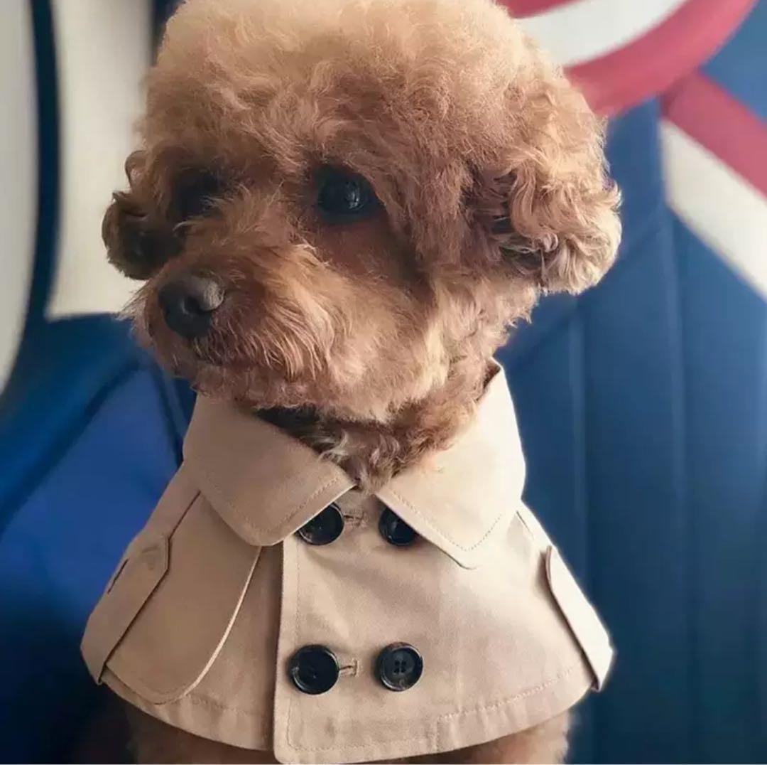 BURBERRY 犬用ケープ BURBERRY 犬用ケープ 【公式通販】