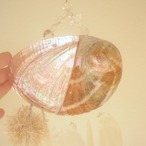 Origin Water Chime ✧ 2 Pink Beige / 起源の水の光と音 / Ocean Origin Light