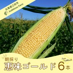 ふたりのマルシェ 北海道江別産とうもろこし「恵味ゴールド」6本