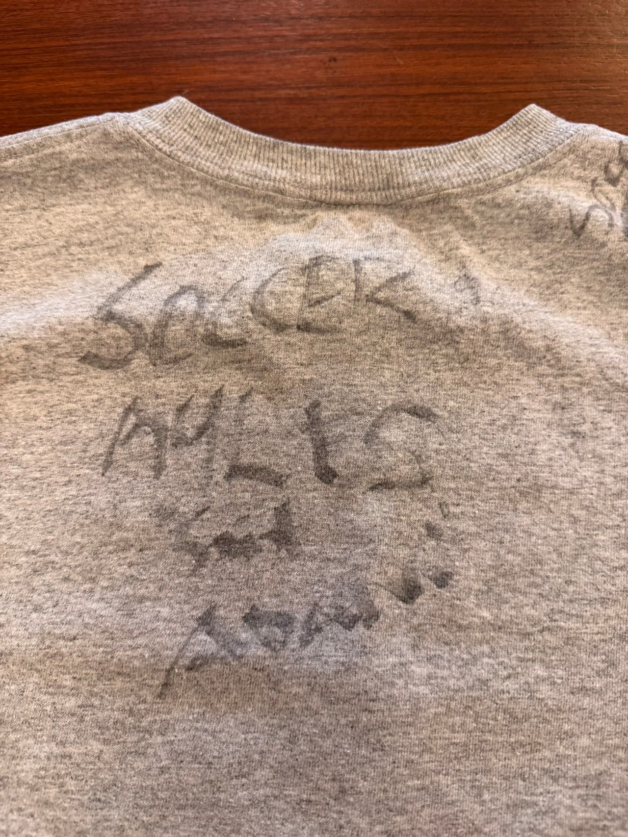 Silver Ridge Elementary Class of 2001 Tシャツ