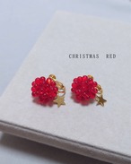 シロツメクサ　Christmas Limited