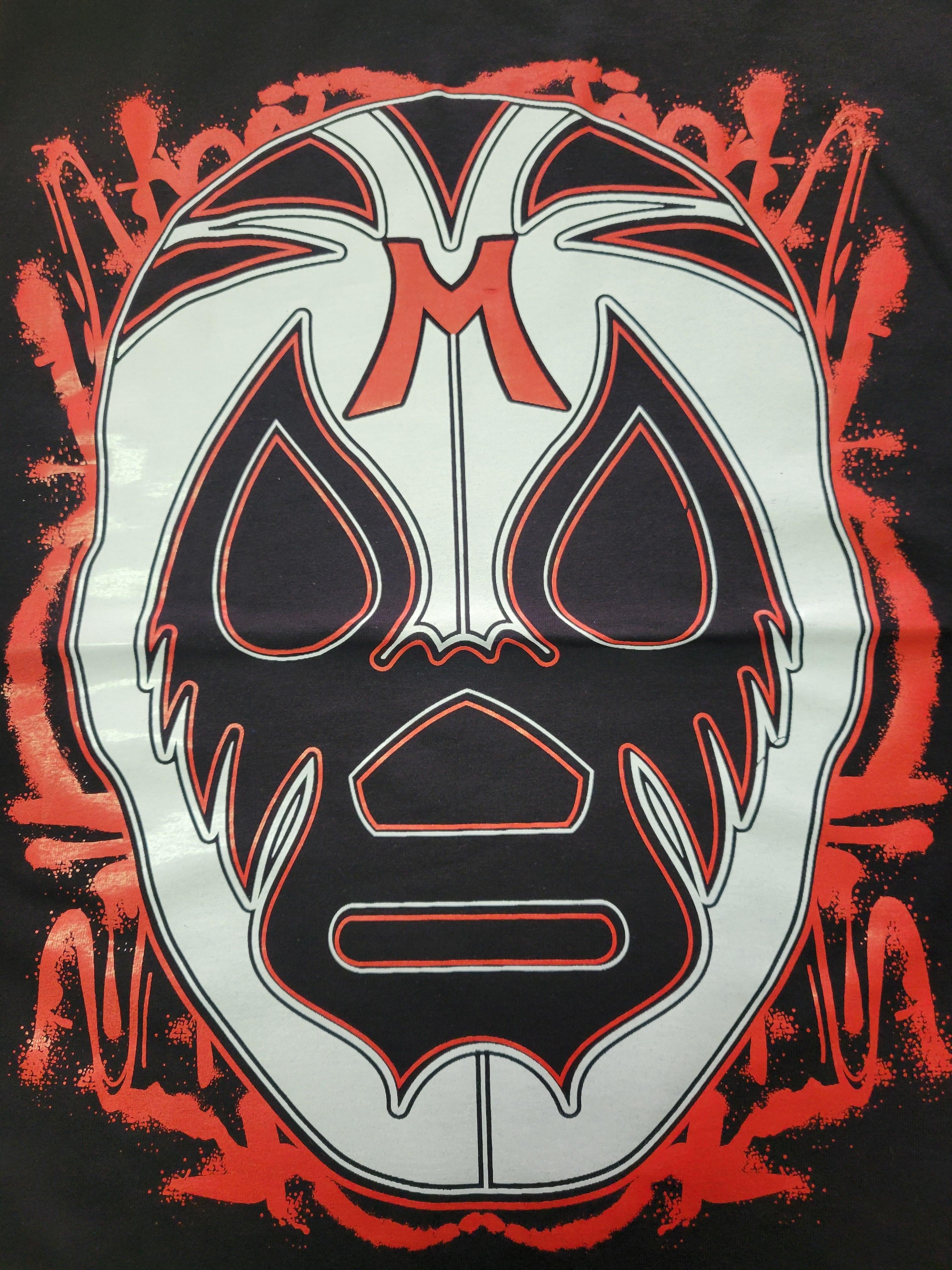 DVD 新崎人生30周年記念大会＠徳島市 2023年3月5日 | みちのく