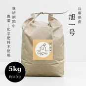 5kg  兵庫県産「旭一号」
