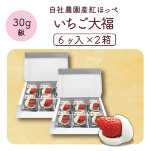 【絶品】苺大福 (30g級 6ヶ入り)×2箱 (合計：12ヶ）