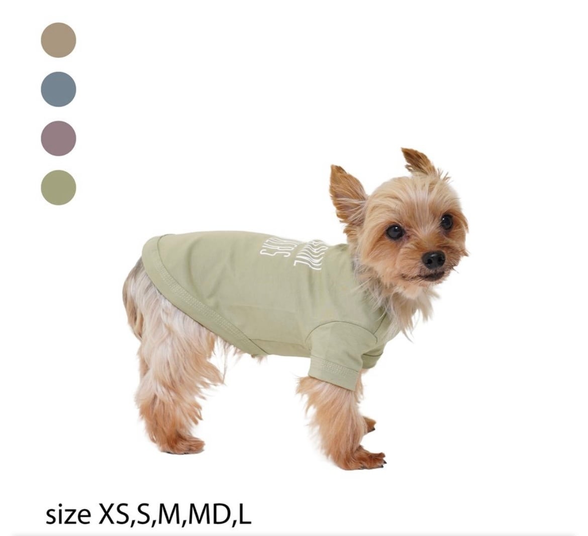 サイズ3L.4L.5L【BASIC COOL T-SHIRT】MANDARINE BROTHERS 犬服　ドッグウェア　大型犬　大型犬服